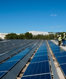 Turn Your Roof Into a Profit-Generating Asset (1)